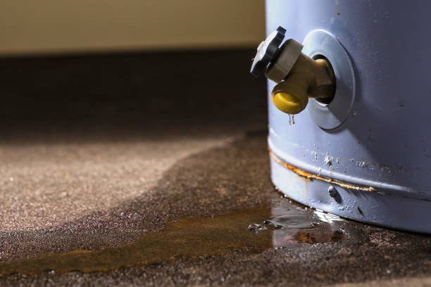Best Water damage restoration mold remediation  in Horse Cave, KY