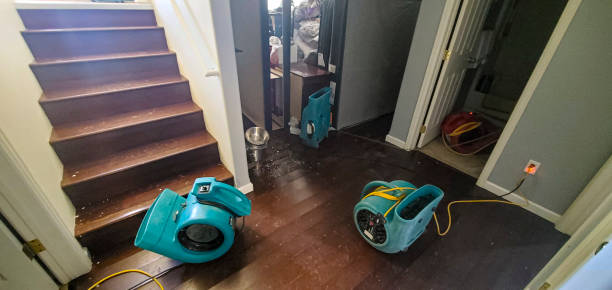Best Basement water damage restoration  in Horse Cave, KY