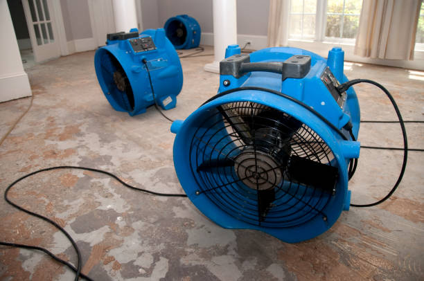 Water damage restoration mold remediation in KY