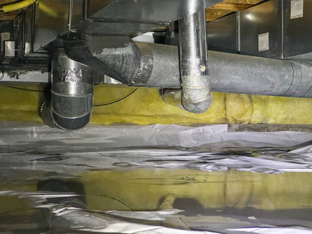 Best Flooded house restoration  in Horse Cave, KY